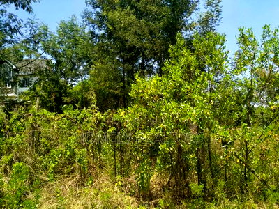 Residential Eighth Acre Plot in Kerarapon, Ngong. Red Soil - Image 2