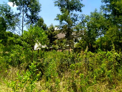 Residential Eighth Acre Plot in Kerarapon, Ngong. Red Soil - Image 4
