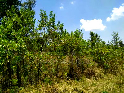 Residential Eighth Acre Plot in Kerarapon, Ngong. Red Soil - Image 3