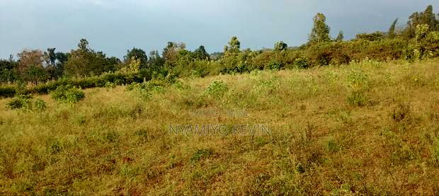 Behind Bondo Ardhi House