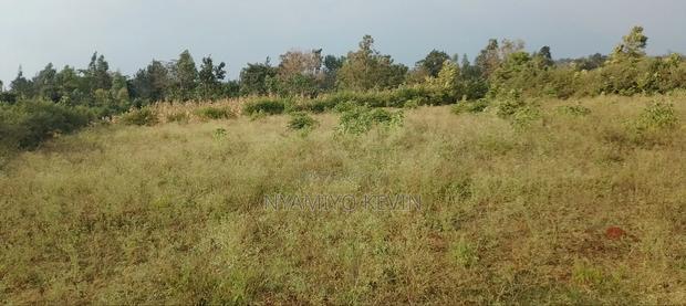 Behind Bondo Ardhi House