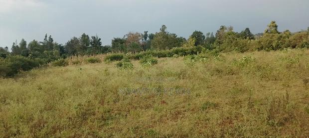 Behind Bondo Ardhi House