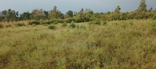 Behind Bondo Ardhi House