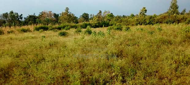 Behind Bondo Ardhi House