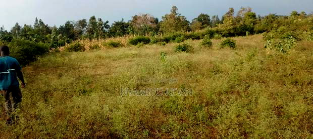 Behind Bondo Ardhi House