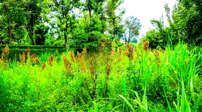 Prime Residential Plots for Sale in Kikuyu, Thogoto - Image 7