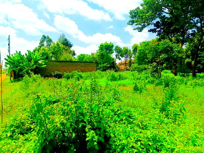 Prime Residential Plots for Sale in Kikuyu, Thogoto - Image 3