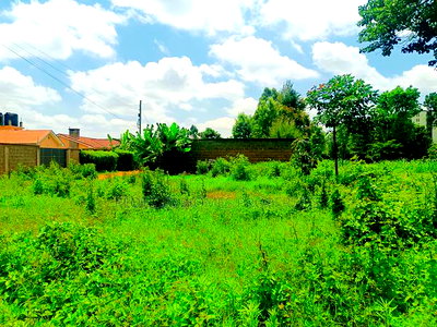 Prime Residential Plots for Sale in Kikuyu, Thogoto - Image 2