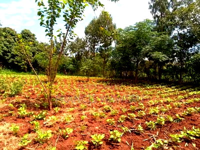 Prime Half an Acre(0.262 Ha)Fronting a River,Mugutha Ruiru. - Image 9