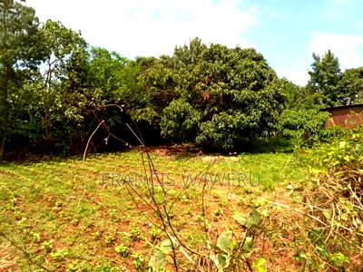 Prime Half an Acre(0.262 Ha)Fronting a River,Mugutha Ruiru. - Image 11