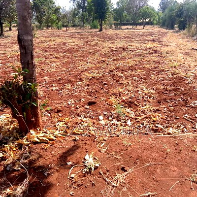 50x100ft Plots for Sale at Mwea P. I for 950,000 - Image 2