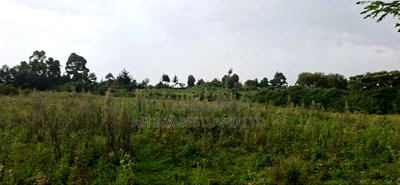 2.5 Acres Land for Sale in Gilgil - Image 3