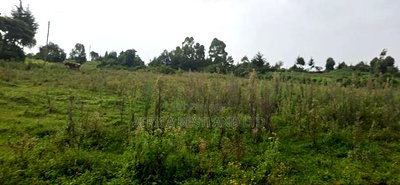 2.5 Acres Land for Sale in Gilgil - Image 4