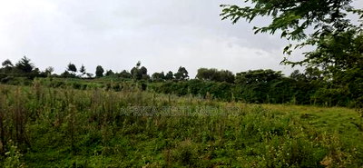 2.5 Acres Land for Sale in Gilgil - Image 10