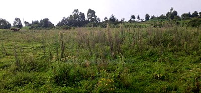 2.5 Acres Land for Sale in Gilgil - Image 8