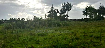 2.5 Acres Land for Sale in Gilgil - Image 5