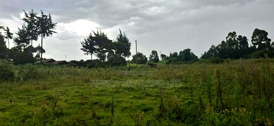 2.5 Acres Land for Sale in Gilgil - Image 6