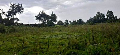2.5 Acres Land for Sale in Gilgil - Image 9