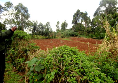 Pet Friendly 0.8 Acre Plot for KSh 70M