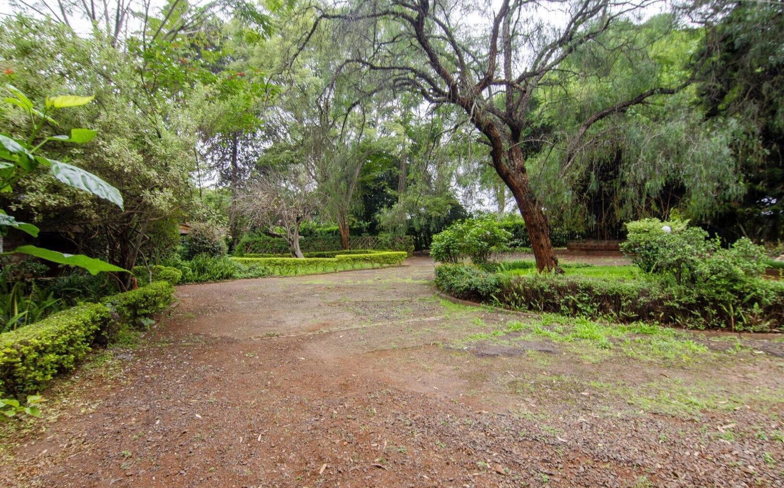 2.9-Acre Spring Valley Gem