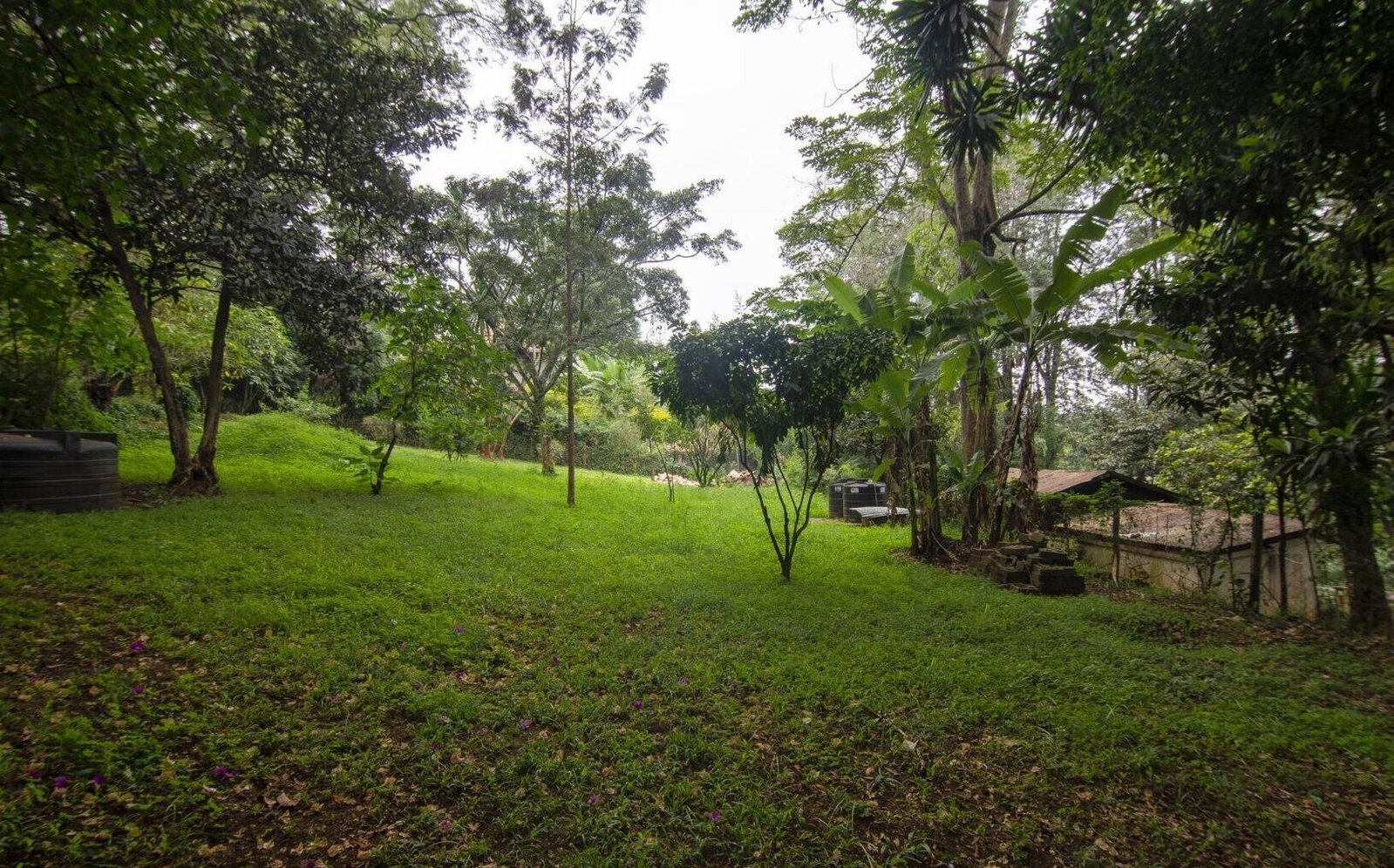 2.9-Acre Spring Valley Gem