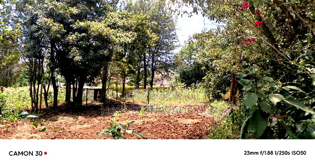 Quarter Acre Plot for Sale in Ngong Lemiso Road.
