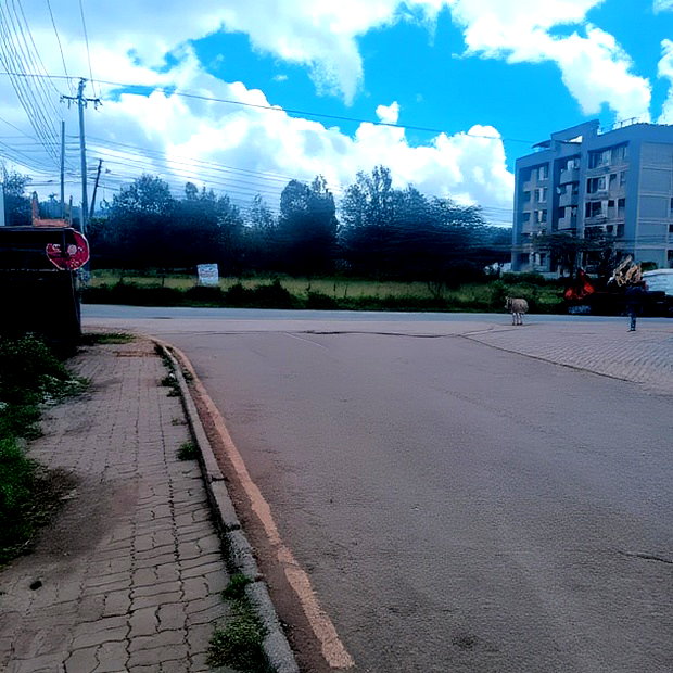 Commercial Plot for Sale in Matasia Near Shell
