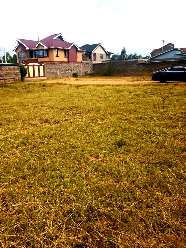 Residential Plot in Kenyatta Road