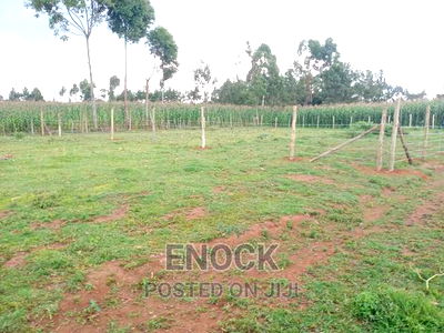 1/8acre Residential Plots for Sale in Royaltone, Eldoret - Image 3