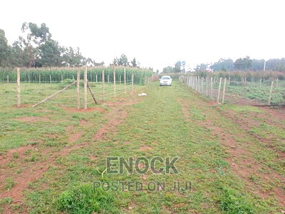 1/8acre Residential Plots for Sale in Royaltone, Eldoret - Image 2
