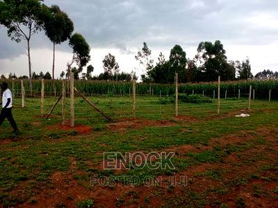 1/8acre Residential Plots for Sale in Royaltone, Eldoret - Image 1