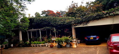 1.5-Acre Lavington Plot with Garden