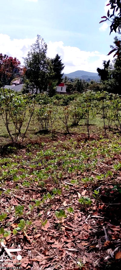 One Acre of Land for Sale in Kiserian Near Town - Image 6