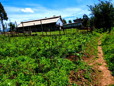 6 Acre Farm in Kinangop - Image 5
