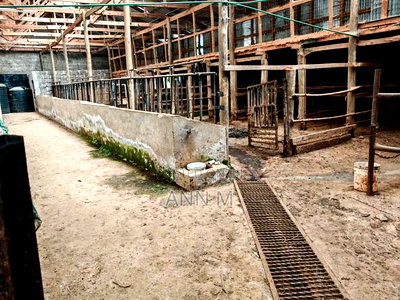 6 Acre Farm in Kinangop - Image 9