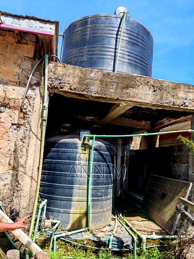 6 Acre Farm in Kinangop - Image 10