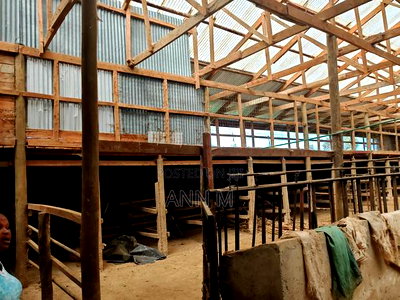 6 Acre Farm in Kinangop - Image 3