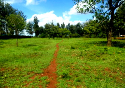 5-Acre Land in Kerugoya