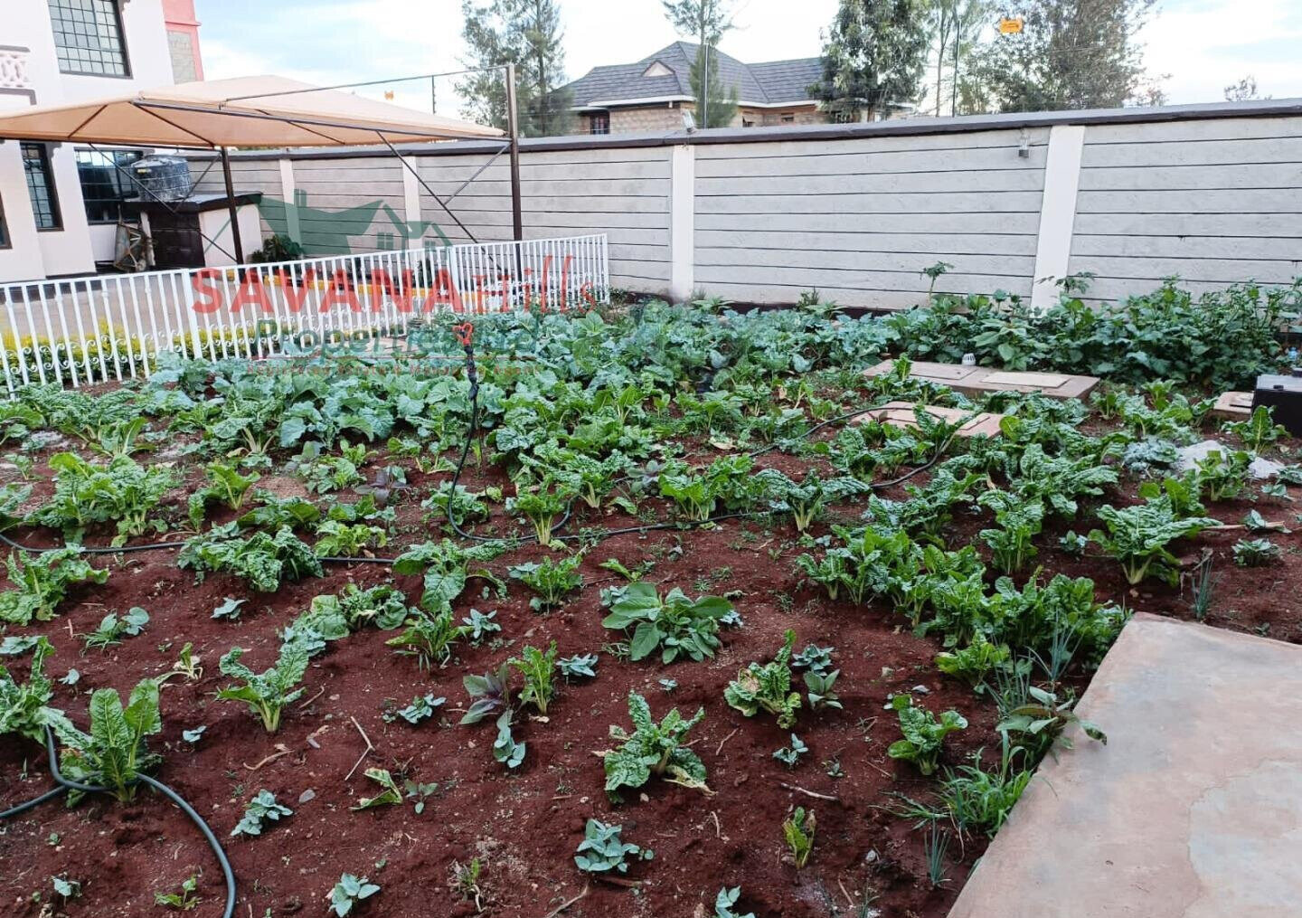 9-Bedroom Mansion on 0.25 Acre with Title Deed - Kitengela
