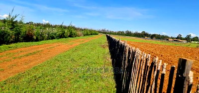 1/4 Plots for Sale in Marura After Kimumu Eldoret - Image 8