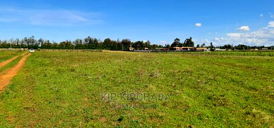 1/4 Plots for Sale in Marura After Kimumu Eldoret - Image 5