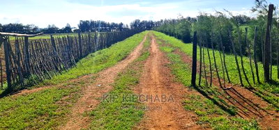 1/4 Plots for Sale in Marura After Kimumu Eldoret - Image 1