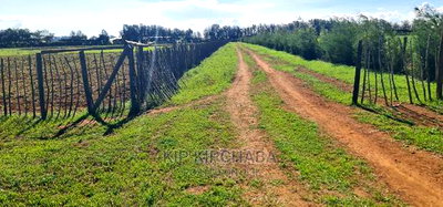 1/4 Plots for Sale in Marura After Kimumu Eldoret - Image 4