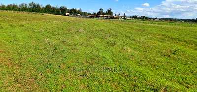 1/4 Plots for Sale in Marura After Kimumu Eldoret - Image 7