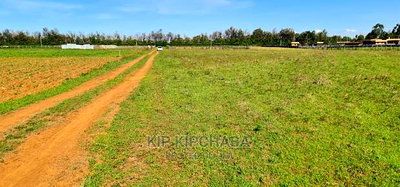 1/4 Plots for Sale in Marura After Kimumu Eldoret - Image 2