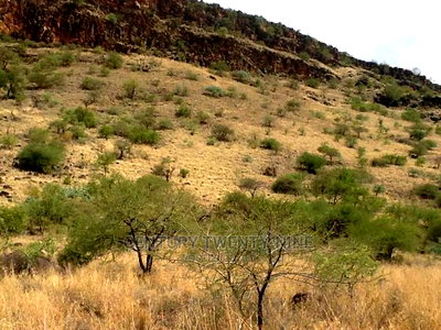 Kwenia Rupell Vulture Sanctuary Site - Image 5