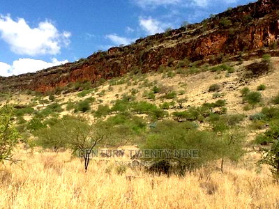 Kwenia Rupell Vulture Sanctuary Site - Image 2