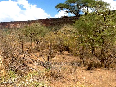 Kwenia Rupell Vulture Sanctuary Site - Image 4