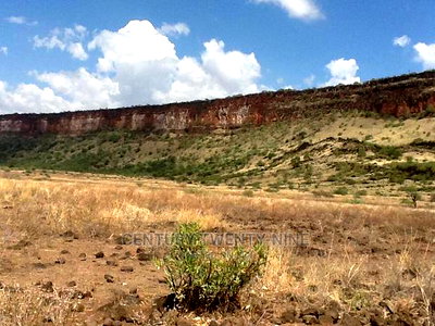 Kwenia Rupell Vulture Sanctuary Site - Image 3