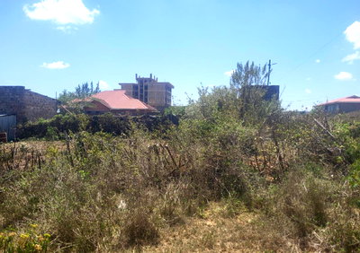 1/8 Acre Plot Near Maasai Mara University